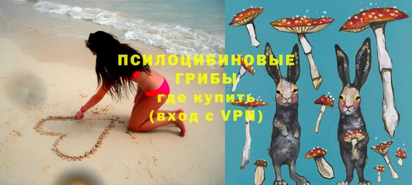 эйфоретик Алзамай